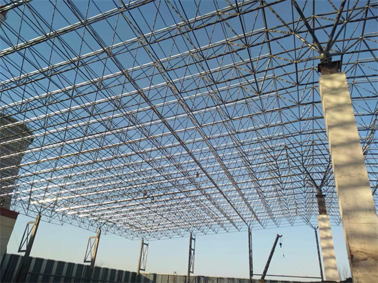 大型儲(chǔ)煤倉(cāng)安裝隊(duì)